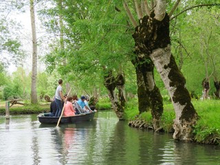 Promenade en barque dans le marais poitevin (France)