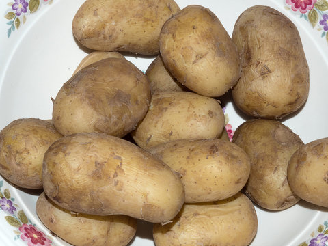 boiled potatoes in the plate