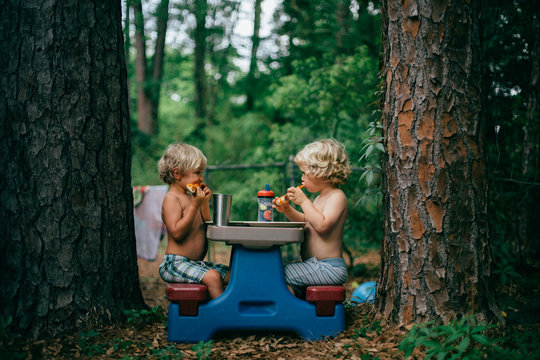Two small boys sitting and eating at a picnic bench in between two tree trunks 