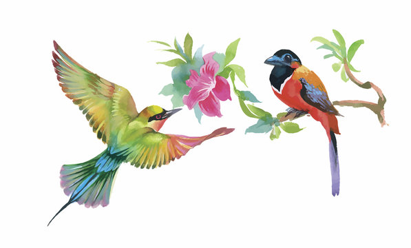 Watercolor colorful Birds and butterfly with leaves and flowers.