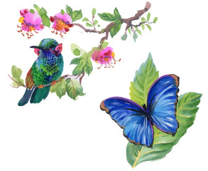Watercolor colorful Bird and butterfly with leaves and flowers.
