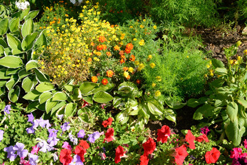 Fototapeta na wymiar Flowerbed with different flowers.