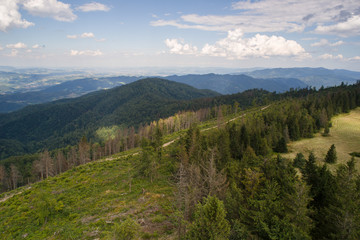 Beskid Sądecki, Dolina Dunajca i Pasmo Radziejowej. Widok z Lubania