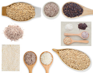 Rice collection on white background