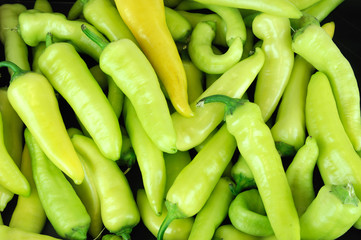 fresh farm picked yellow and green peppers