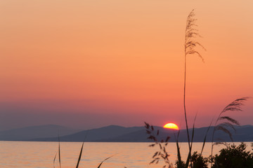 Sunset with Meadow Grass, Chalkidiki