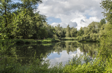 Marais de Montfort - Grésivaudan - Isère.