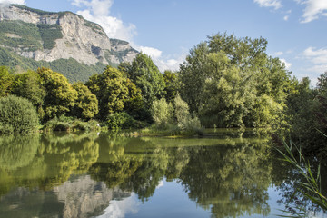 Marais de Montfort - Grésivaudan - Isère.