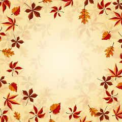 Autumn leaves fall on border vector illustration. Background with hand drawn autumn leaves. Design elements.