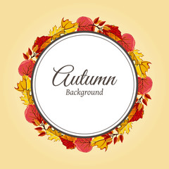 Wreath of autumn leaves vector illustration. Autumnal round frame. Background with hand drawn autumn leaves. Design elements.