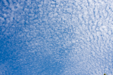 white fluffy clouds in the blue sky