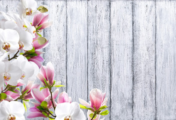 Naklejka na ściany i meble Magnolia with orchid on background of shabby wooden planks