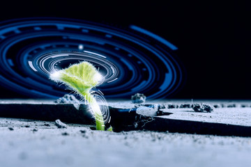 Is there life on moon . Mixed media