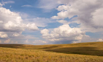 Foto op Plexiglas Upland bunchgrass prairie with blue sky and clouds © jbosvert