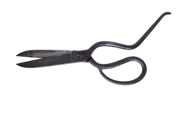 metal scissor for fabric isolated