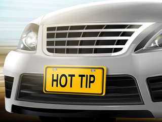 Hot tip words on license plate