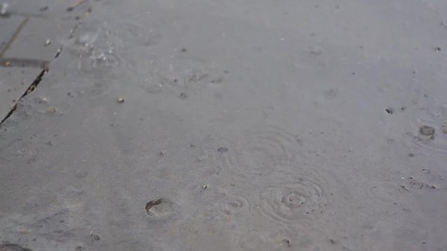 Rain drops during a downpour