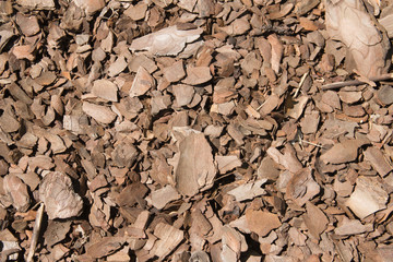 Background of the plurality of pieces of bark. Wooden natural texture.