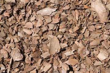 Background of the plurality of pieces of bark. Wooden natural texture.
