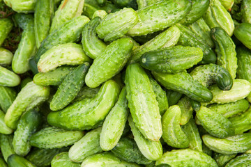Green cucumbers