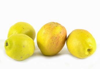 Group of Pear Isoated on White Background with Clipping Path