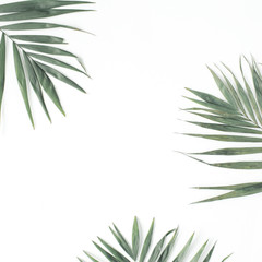 Fototapeta na wymiar palm branches isolated on white background. flat lay, top view