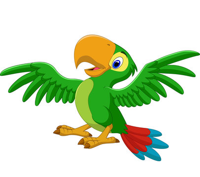 Cartoon happy parrot isolated on white background