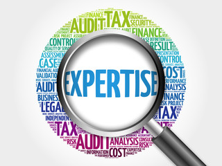 EXPERTISE word cloud with magnifying glass, business concept 3D illustration