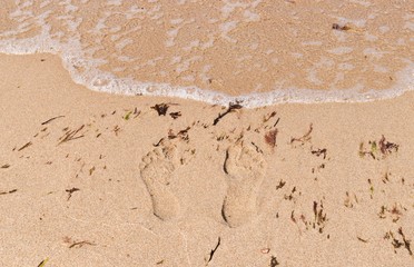 Footprints on the sandy beach in summertime