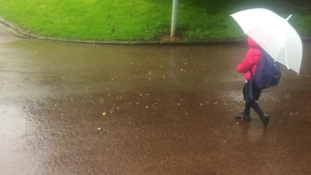 School girl (age 6-7) with umbrella go to school or return back home in a rainy day alone. Weather forecast concept. copy space