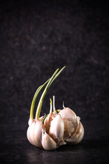 garlic bulbs with garlic cloves on wooden table,soft focus