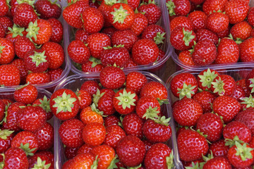 a heap of fresh strawberries