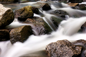 Fototapeta na wymiar Creek with rocks in a forest