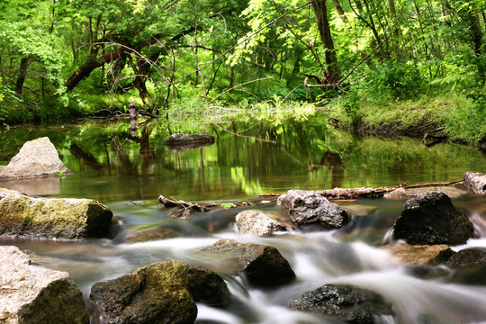 Creek with rocks in a forest