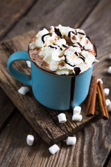 hot chocolate with whipped cream and cinnamon
