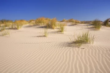 Deurstickers Sand dunes with ripples © sara_winter