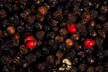 black and red peppercorns art