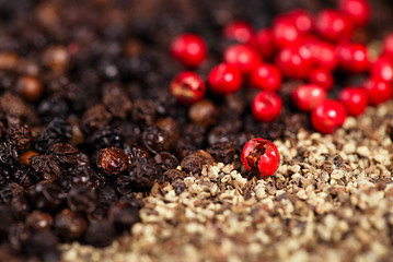 whole, crashed and ground black and red peppercorns