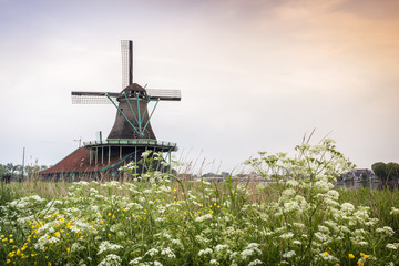 Old, wooden windmills in The Netherlands