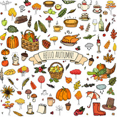 Seamless pattern hand drawn doodle Autumn icons set. Vector illustration. Fall symbols collection. Cartoon seasonal elements: turkey, harvest, vegetables, pumpkin pie, leaves, trees, wine, mushrooms