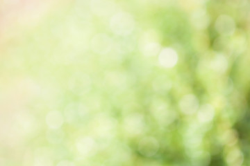 Blur background .Glitter abstract lights.