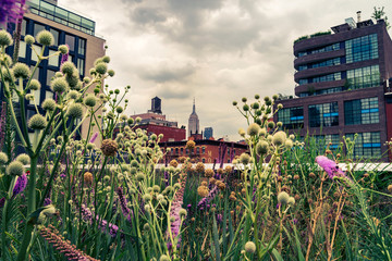 Cityscape view on midtown Manhattan from High Line Park