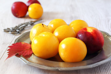 Yellow plums and red nectarine