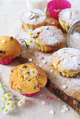 Raisin muffin and milk