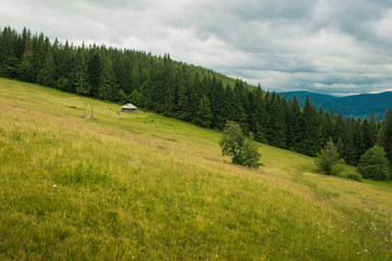 Fototapeta na wymiar Carpatian mountains landscape views at summer time