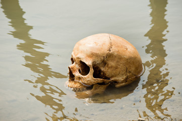 skull at riverbank