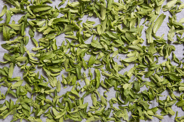 Mint prepared for drying