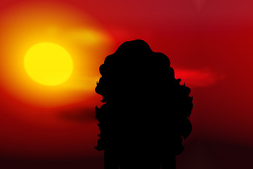 Girl silhouette