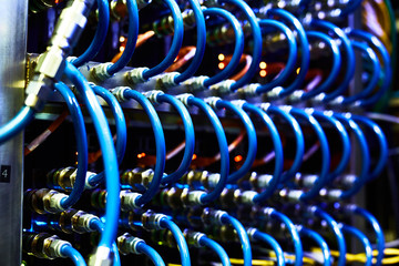 Fototapeta premium Network cables
