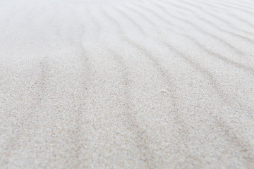 Fototapeta na wymiar Sea sand, selective focus
